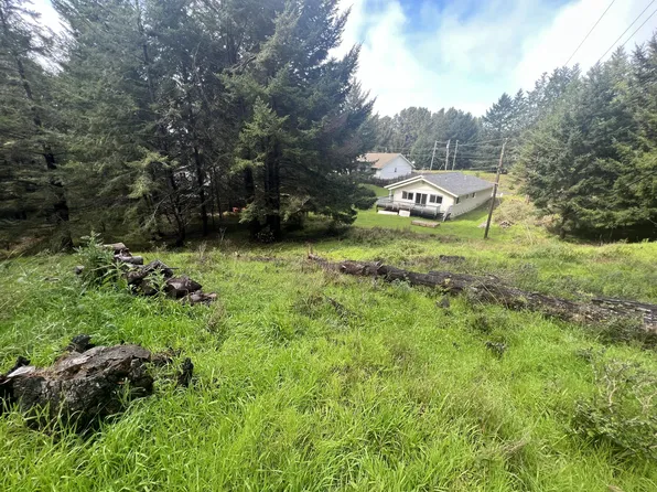 28 Cove View Dr, Whitethorn, CA 95589