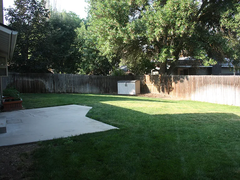 backyard