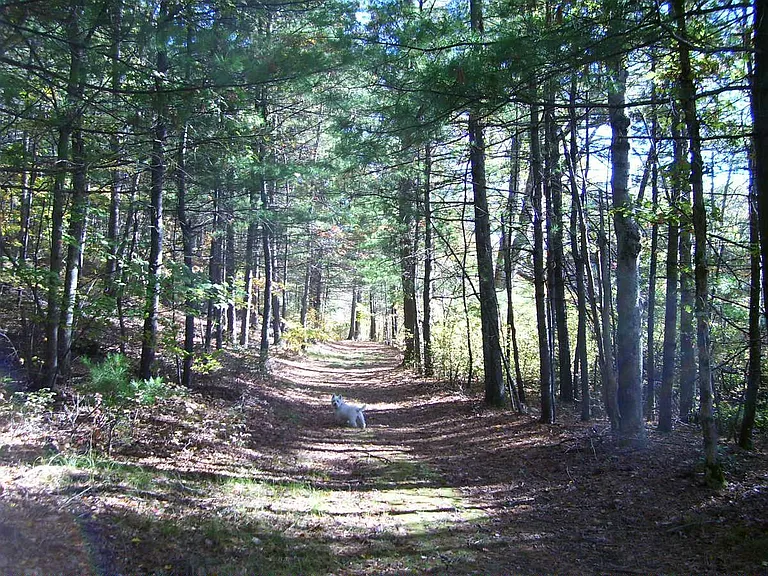2 miles mowed TRAILS - walk, jog, ski