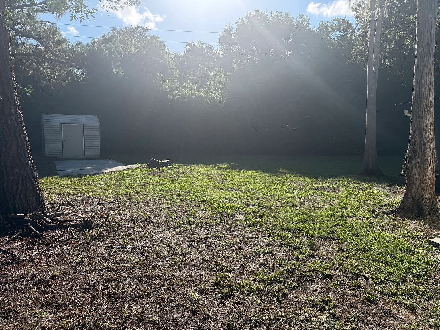 3 bed, 1067 sqft, $2,200 — Photo 2