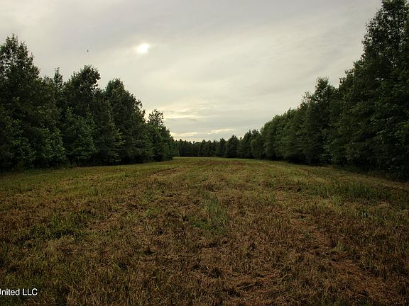 3rd image of 1314 County Road 180