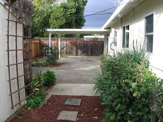 back yard