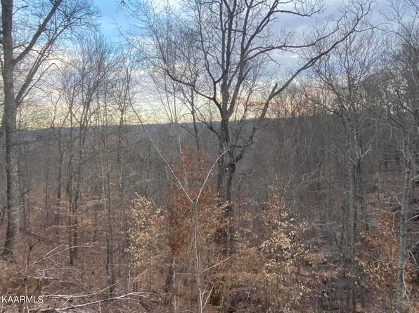 1081 Whistle Valley Rd, New Tazewell, TN 37825