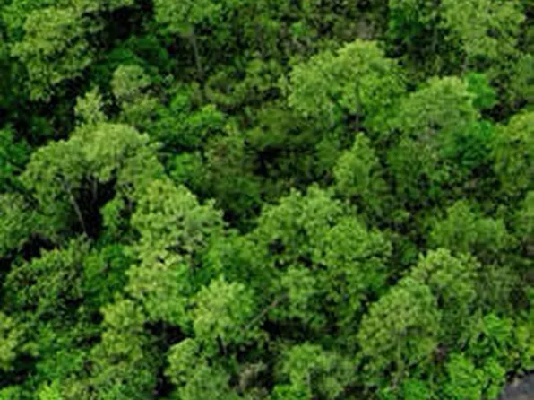 W Riverline Dr Lot 47, Saucier, MS 39574