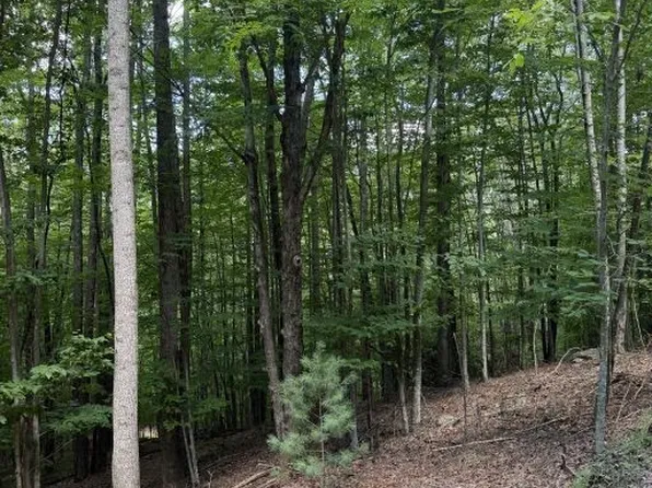 141 Sassafrass Road, Beech Mountain, NC 28604