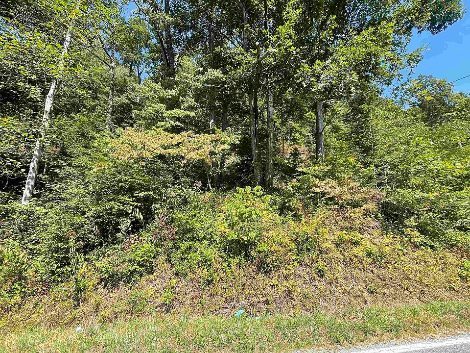 2nd image of 0 Fort Gay Rd