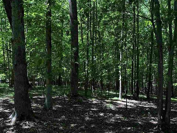 4th image of Piney Creek Ln