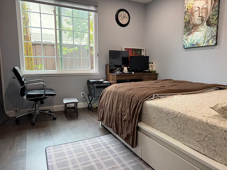 34344 Gadwall Cmn — Photo 17