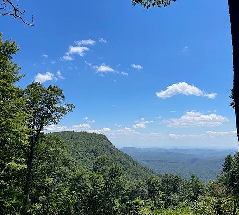 4th image of 4431 Dillard Road