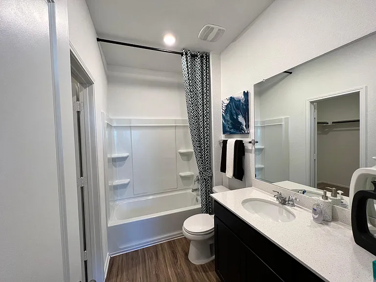 Master bathroom with walk-in closet