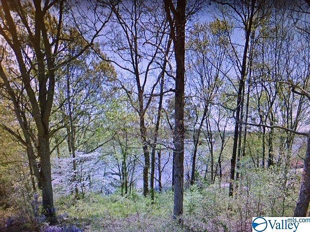 1st image of 0 Lakeshore Dr