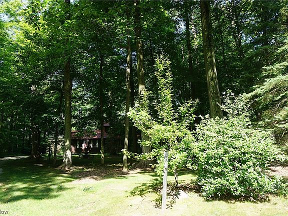 3rd image of 3446 Timberwood Trl