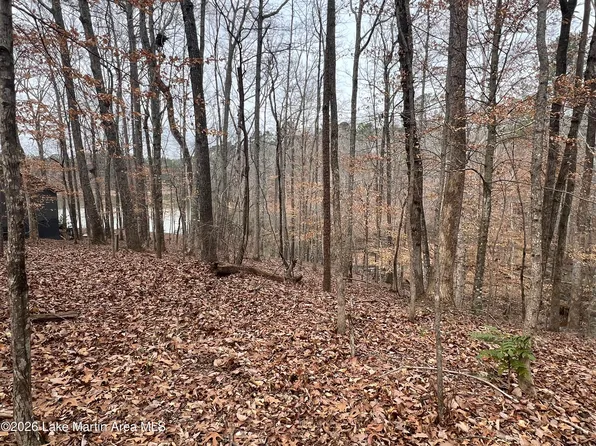 30 Springwood Ln, Dadeville, AL 36853