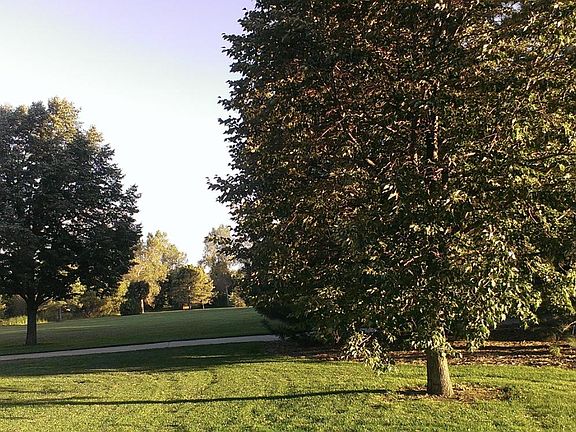 Belmar Park 127 acres