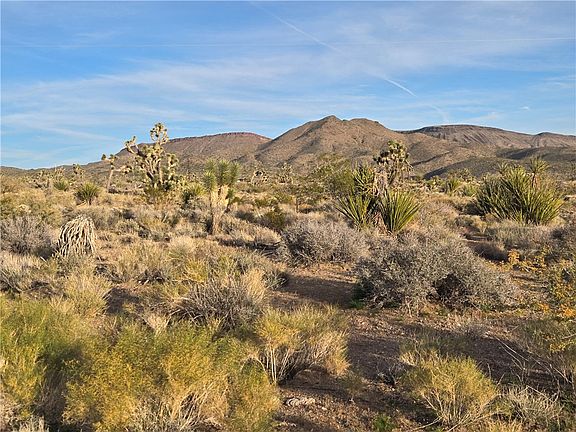 4th image of 329-08-243 W Inyo Drive