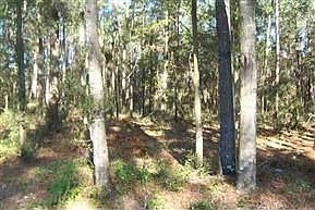 1st image of 5044 Blountstown Hwy