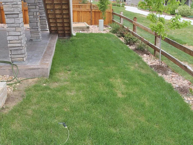 Great patch of sod
