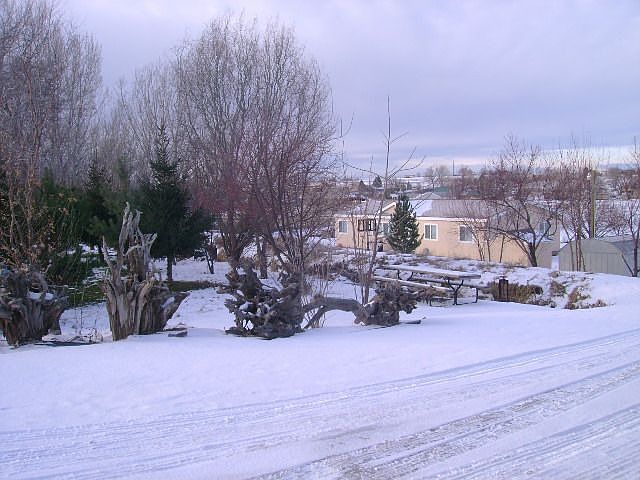 front from Freezeout