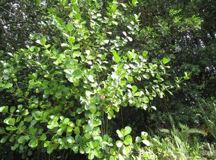 Amau Rd LOT 138, Keaau, HI 96749