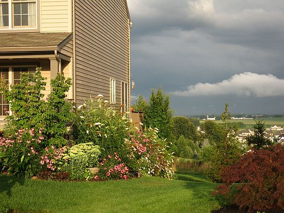 Side Yard