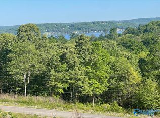 175 Buckskin Dr, Guntersville, AL 35976