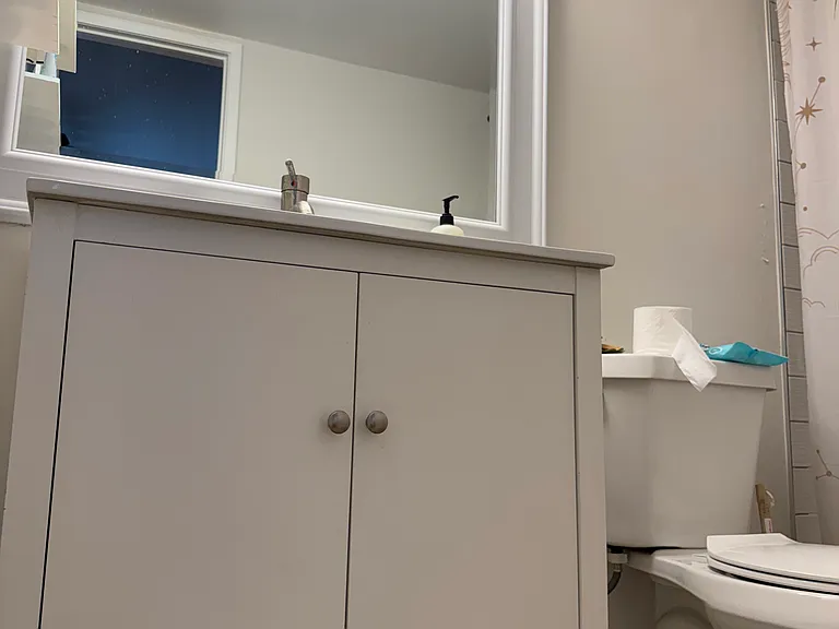 Master Bathroom.