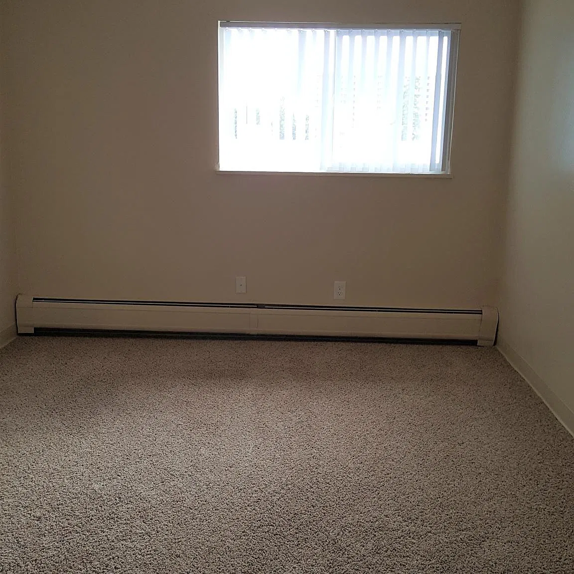 1 bed, 700 sqft, $1,100 — Photo 3