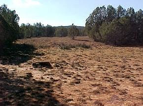 1st image of 42 Juniper Woods