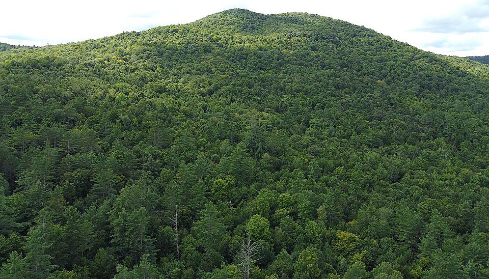 520 Collins Gifford Valley Rd, Northville, NY 12134 Zillow