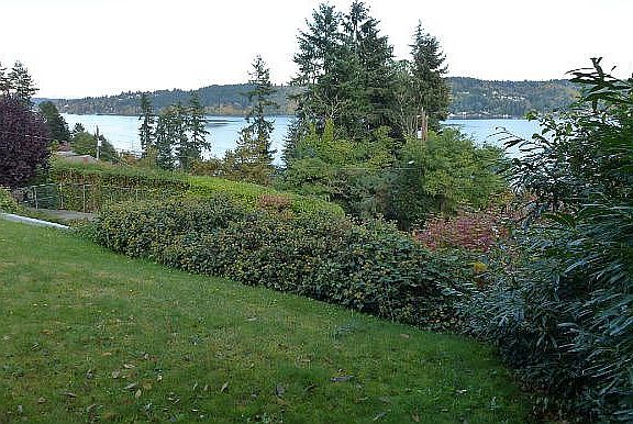 View to the North