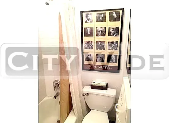 Rented by City Wide Apartments | media 14