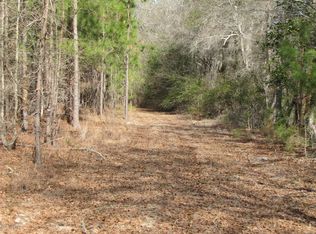 284 Acres Cherry Grove Rd, Brunson, SC 29911