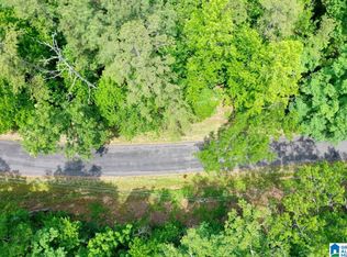 0 Kennedy Dr #13, Oneonta, AL 35121