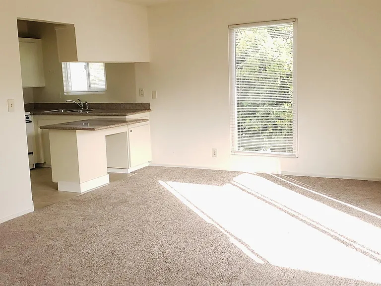 10243 Beardon Dr #3 — Photo 6