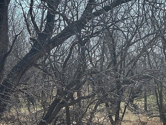 5th image of Prairie