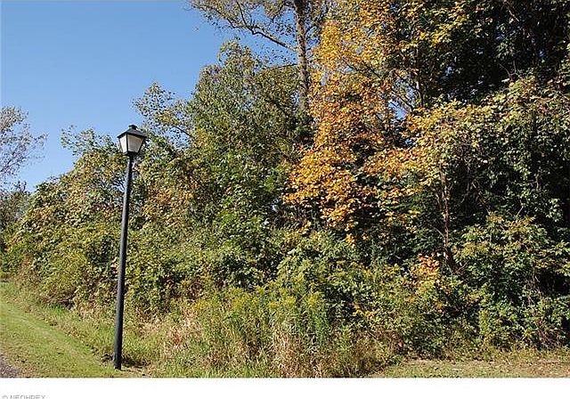 1st image of 36250 Shining Tree Ln