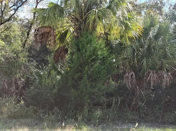 SE 23rd Pl Lot 6, Morriston, FL 32668