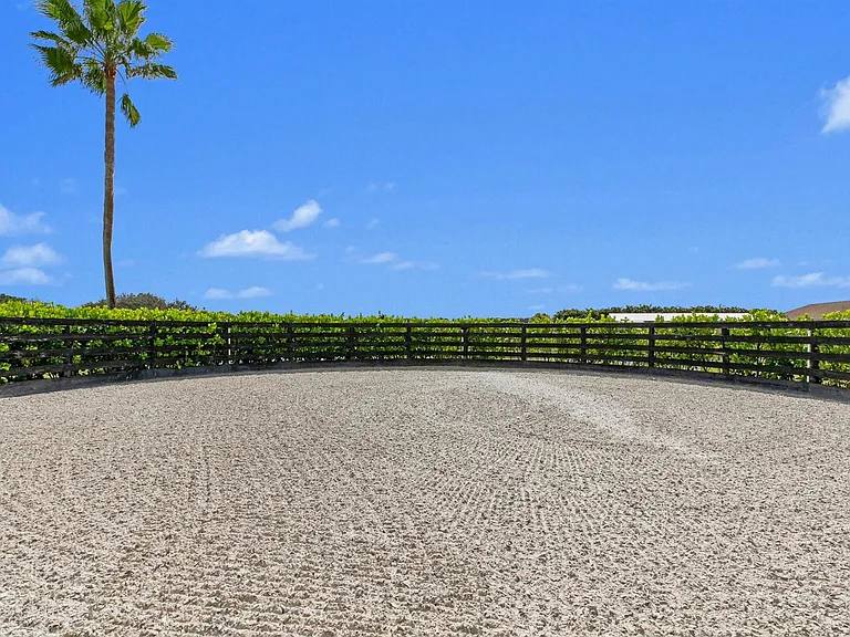 14710 Palm Beach Point Blvd — Photo 16