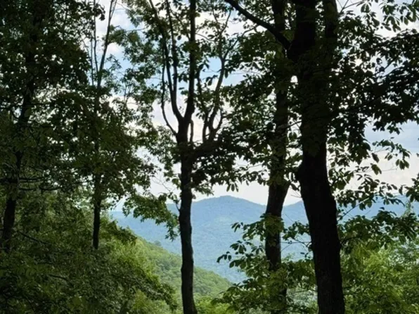 LT 2 Tower Road, Sapphire, NC 28774