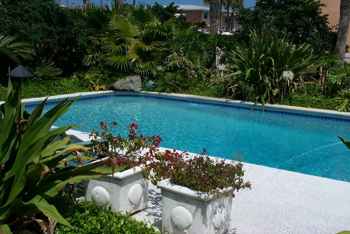 1 bed, 500 sqft, $1,600 — Photo 1