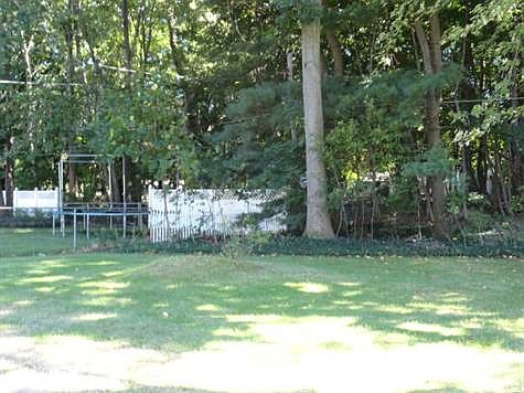 Rear Yard