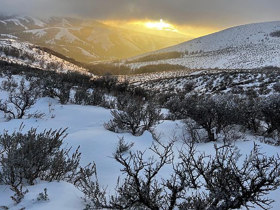 View from front windows looking South