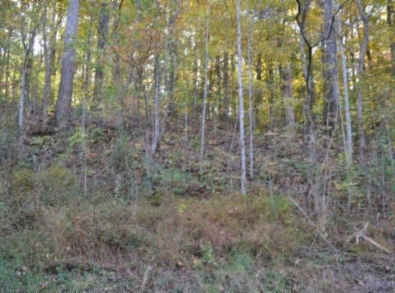 4th image of 0 Apache Rd #62