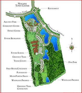 Amenity Layout