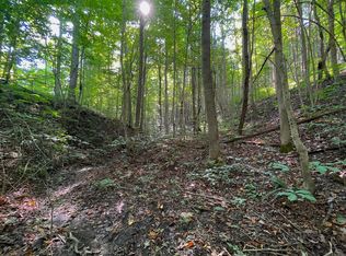 0 Mount Olive Rd #S, Mc Arthur, OH 45651