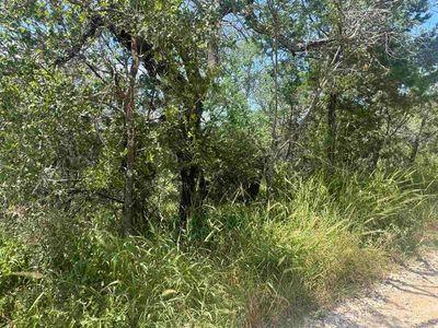 Lots 6 & 8 Solar, Burnet, TX, 78611