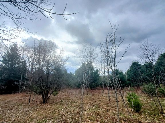 3rd image of Lot 5 Dexter Road