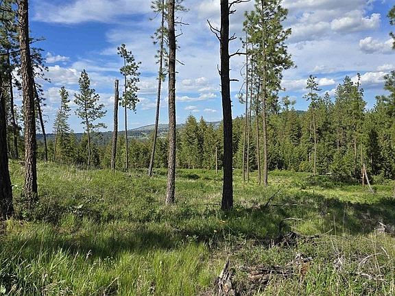 4th image of 22XX E Miller Rd