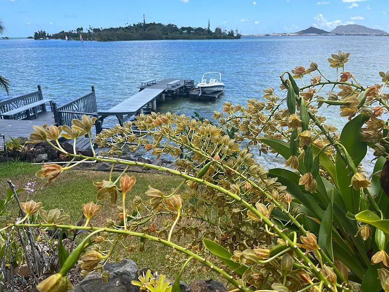 45-002 Lilipuna Rd — Photo 33