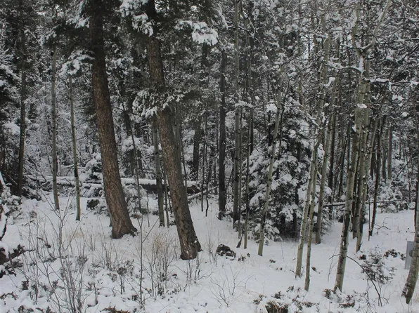 lot 684 El Camino Real, Angel Fire, NM 87710